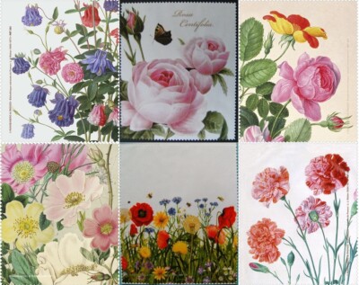 1 Brillenputztuch Rose Rosen Mohnwiese Brillenputztücher Blume Blumen Mohn Nelke