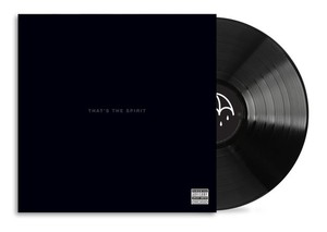 Bring Me the Horizon Vinyl | eBay Bring Me the Horizon Vinyl | eBay