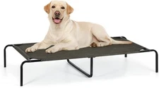 Medium Portable Elevated Dog Bed with Anti-Slip Rubber Mats