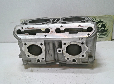 SkiDoo MXZ Summit 850 Etec Snowmobile OEM Cylinder 6413540 6413300 $100 Refund
