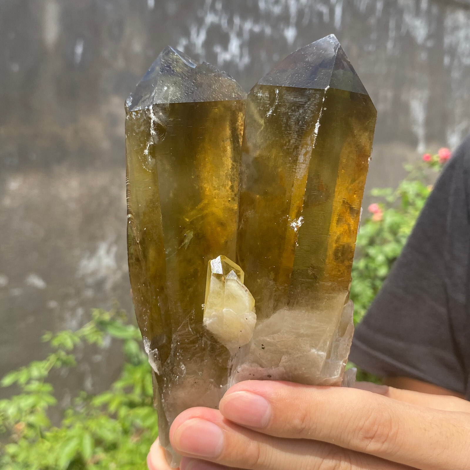 1.7LB Natural citrine quartz cluster crystal specimen Healing
