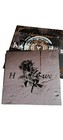 Bild 6 von 12