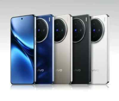 直美　VIVO X200 Pro 12GB/256GB ブルー 大陸版 Vivo X200 Pro 5G 256GB ブルー 12GB RAM｜GetGadgetGot
