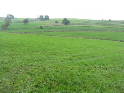 Photo A3 Pasture at High Rake Great Hucklow Looking west over rich limes c2011
