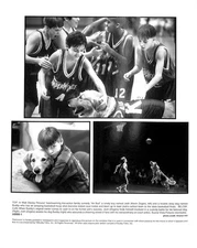 Air Bud (1997) Movie Still Full Set 8x10