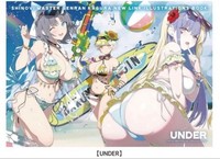 Shinobi Meister Senran Kagura New Link Illustrationsbuch Under Neu