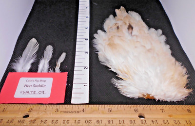 Hen backs (Saddles) - Natural White - Great for Dyeing - For Fly Tying or Crafts