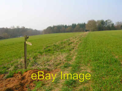 Photo 6x4 Newplace Wood Eason's Green Part of the New Place estate one o c2007