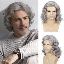 Men's Long Grey Hair Wig Natural Curly Hair Halloween Accessory 70s 80s Rocke...