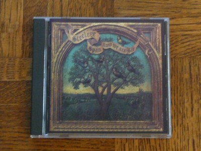 Steeleye Span: ''Now We Are Six'' CD (NM) BGOCD157 [maddy prior martin carthy Q