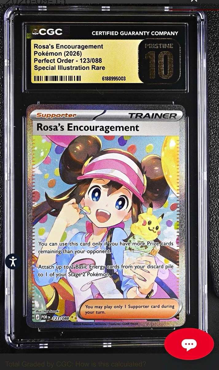 Rosa'S Encouragement