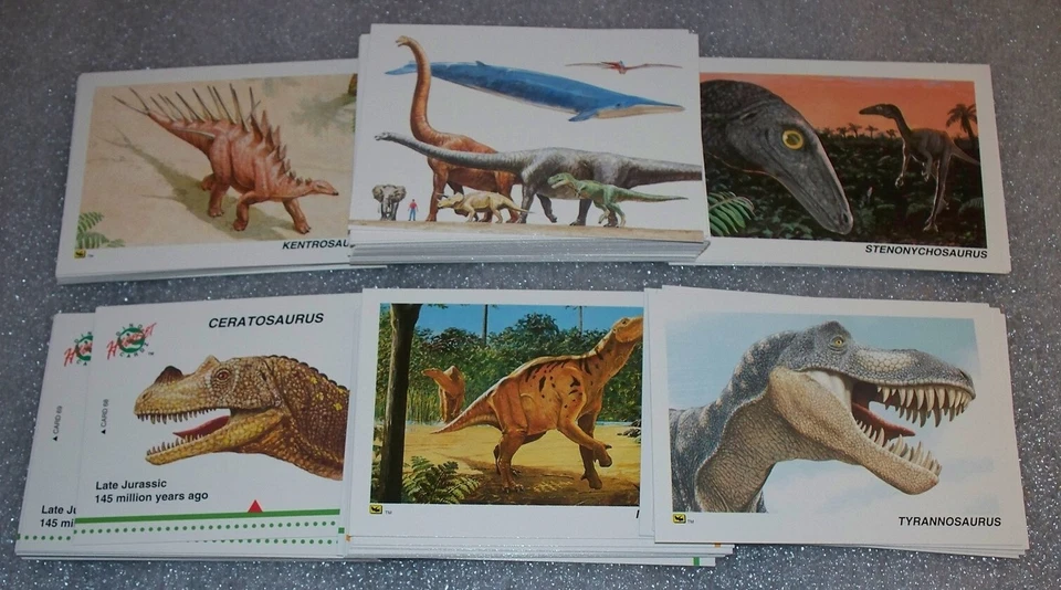 Dinosaurier Sammelkarten Set 80 Karten Dinocardz - pädagogisch - Bild 1 von 1