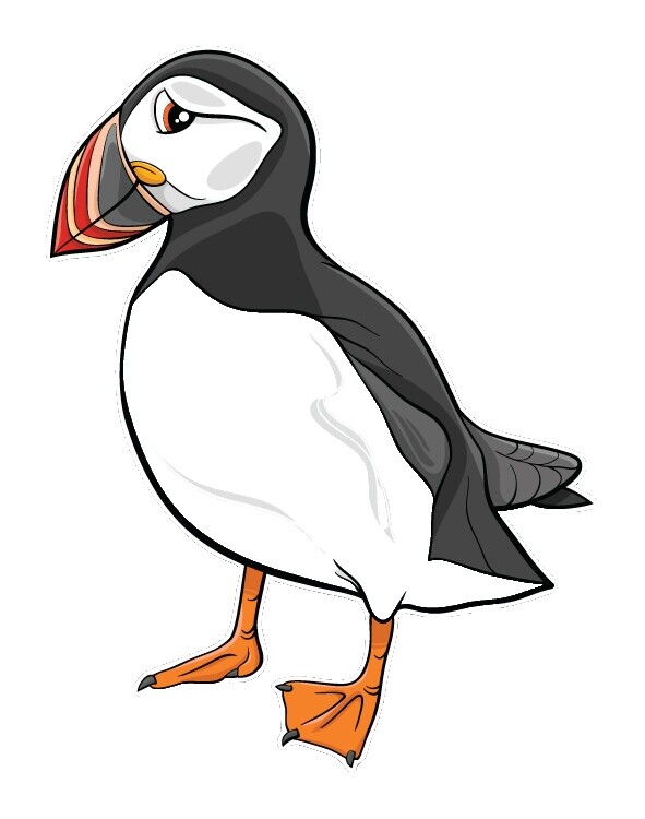 Puffin | eBay