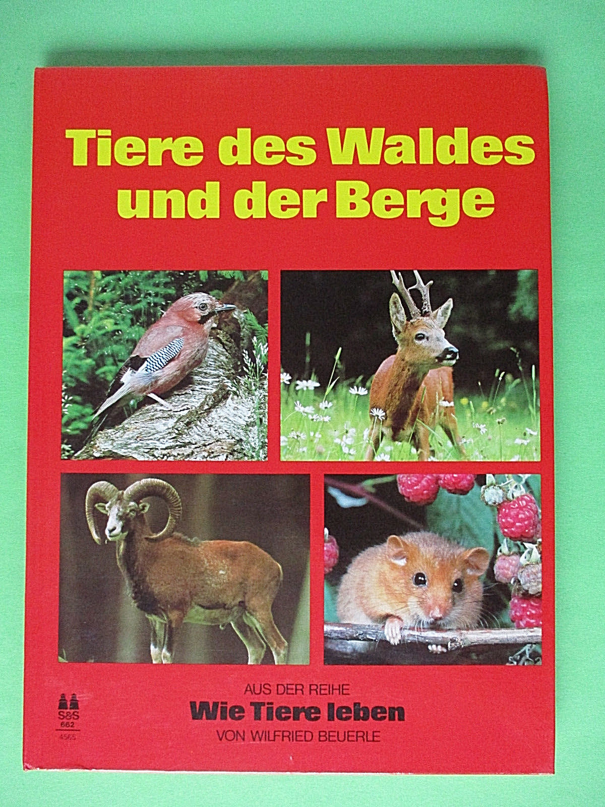 Bild 1 von 1