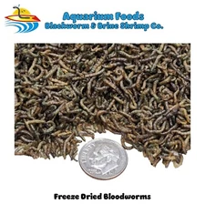 FREEZE-DRIED BLOODWORMS - DISCUS, CICHLIDS, TROPICAL FISH & CARNIVOROUS PLANTS
