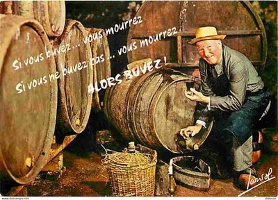 Postcard - Vineyards - In The Cellar - Cellar - CPM - See Scans Double-Sided - P