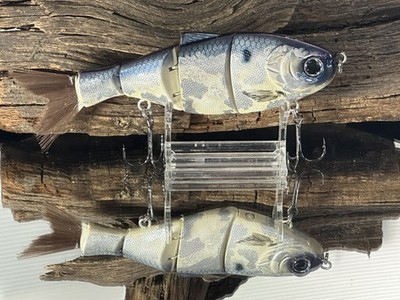 Custom Painted Nasty Shad Swimbait