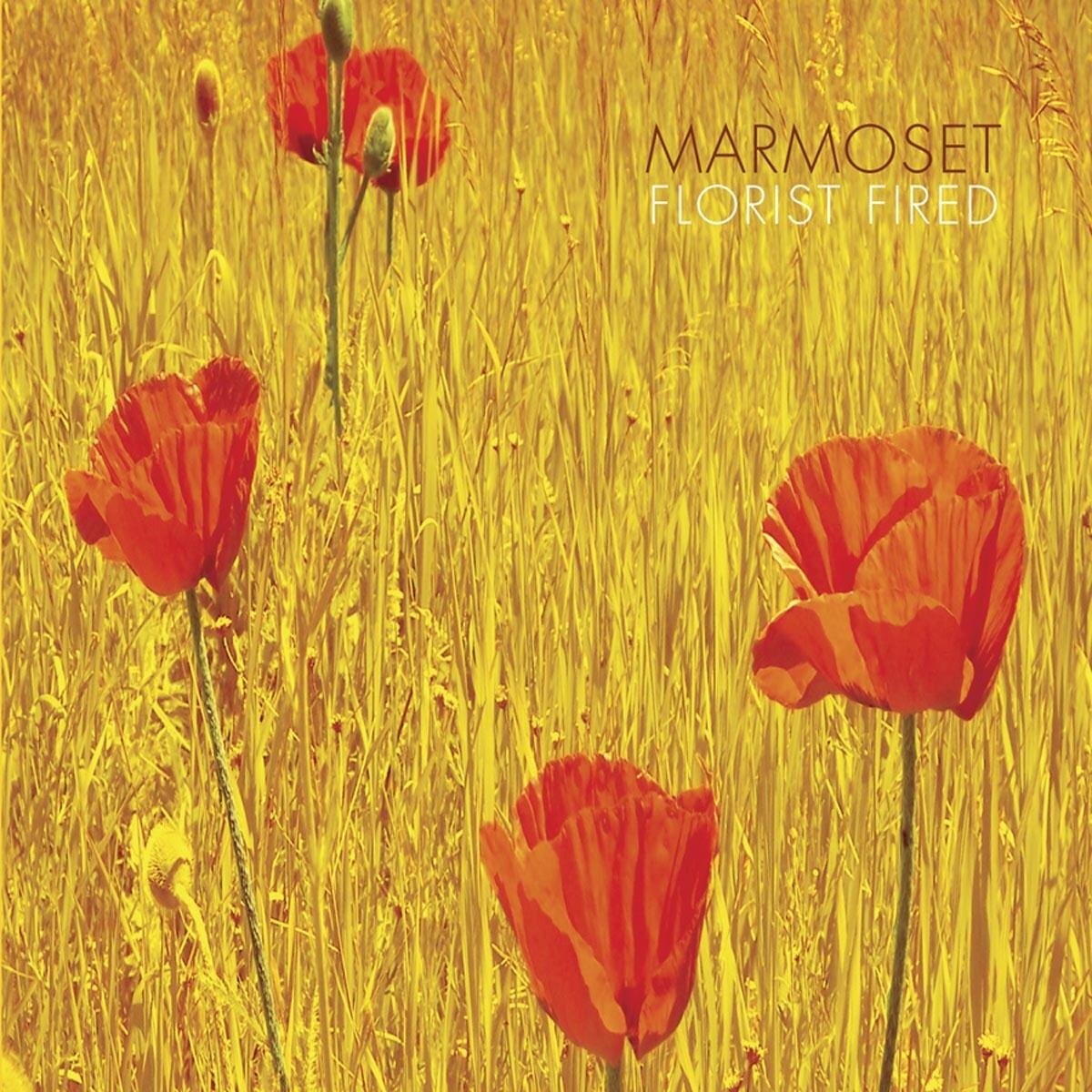 Marmoset Florist Fired (Vinyl LP)