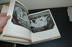 Foto 3 di 12