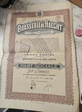Haecht Belgium Beer Stock Certificate 1924
