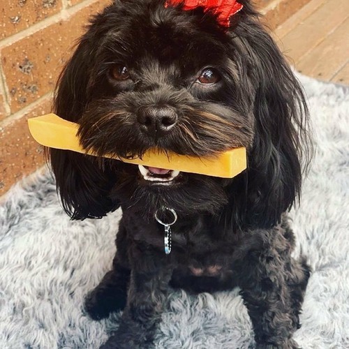 Super Himalayan Dog Chew,Natural Long Lasting Dog Treat-SMALL for Dog<7 KG-2 pc - Picture 12 of 12