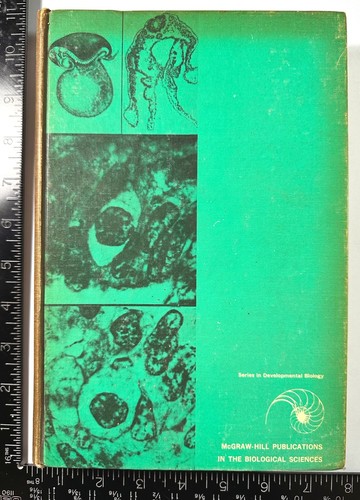 PATTEN: Foundations of Embyology, 2nd Ed (Pubs in Bio Sci) (McGraw-Hill, 1964) - Bild 4 von 8