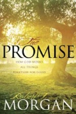 The Promise: How God Works All Things Together for Good by Robert J Morgan: Used