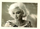 MARILYN MONROE carte postale 1254