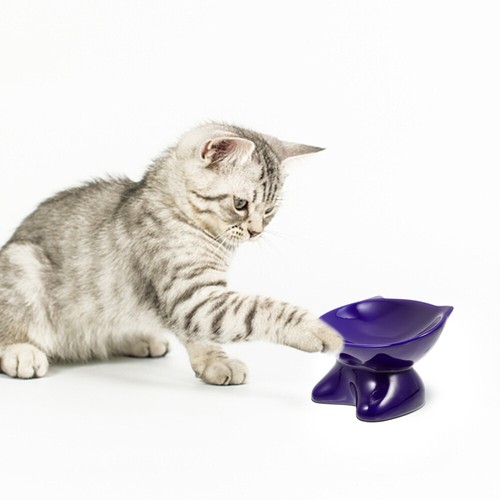 Small Pet Bowl Pet Bowl Stand Raised Pet Food Bowl Dog Food Stand - Picture 4 of 12