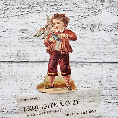 um 1900 Junge Kind Taube Tier Glanzbild Prägedruck Luxuspapier Ephemera Deko alt