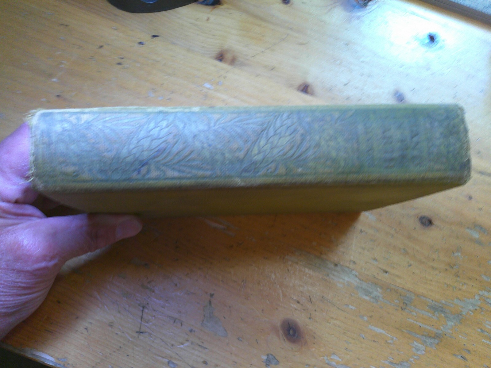 Bild 2 von 12