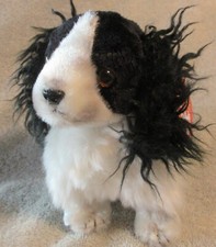 Ty Beanie Baby Frolic the Dog DOB June 28, 2001 MWMT Free Shipping