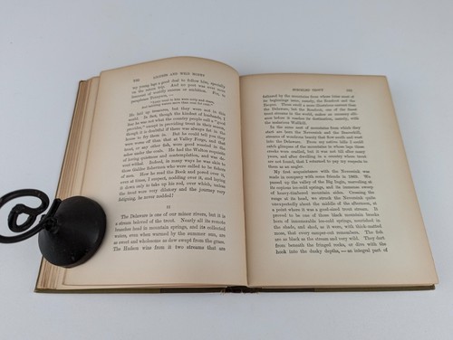 Locusts And Wild Honey By John Burroughs 1900 Houghton, Mifflin And Co. RARE - Picture 11 of 15