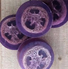 Handmade Soap - Lavender Loofah Bar - 3 bars