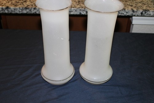 Bohemian Portrait Of Hand Painted Flowers on Frosted Glass Vases 9"H - Picture 7 of 15