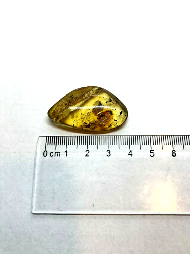 Amber Piece 2 Insects Inclusion Fossil Insect Natural Baltic Amber 3,5g 4591 - Picture 9 of 12