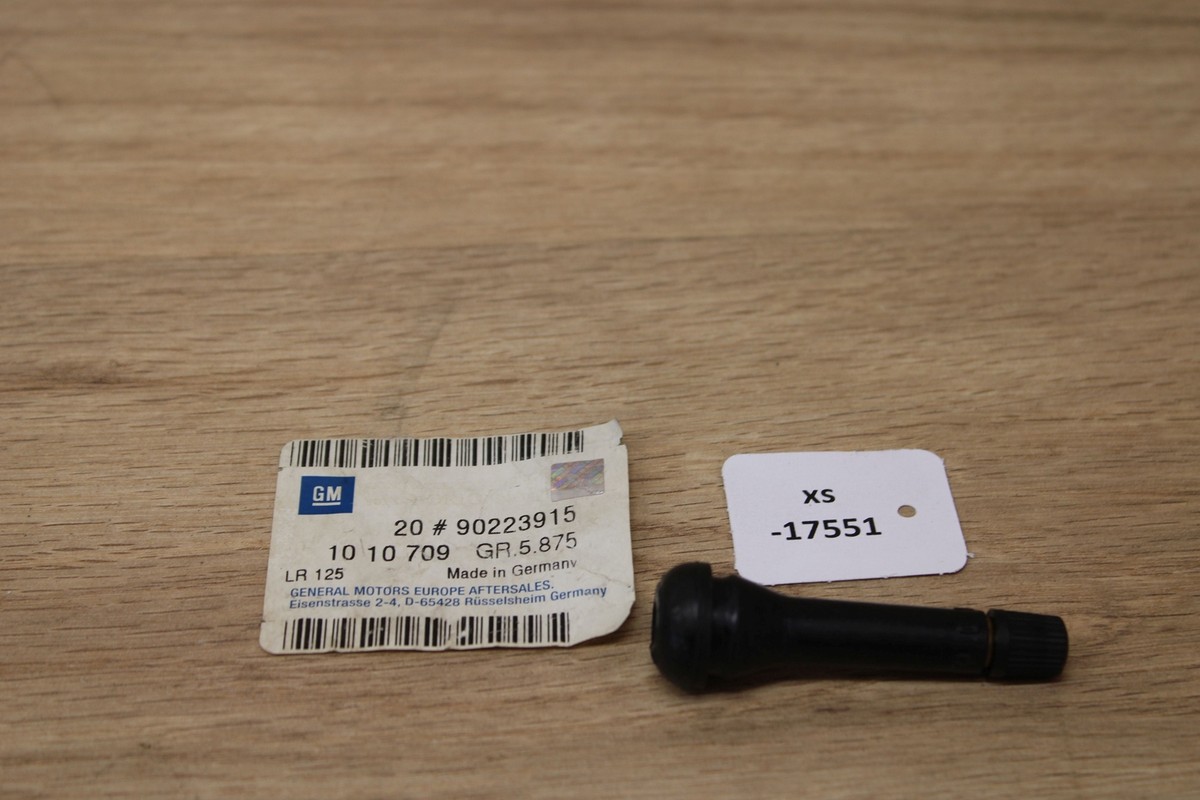 Lje。！！ GM General Motor 90223915 1010709 Ventil NOS NEU genuine xs17551