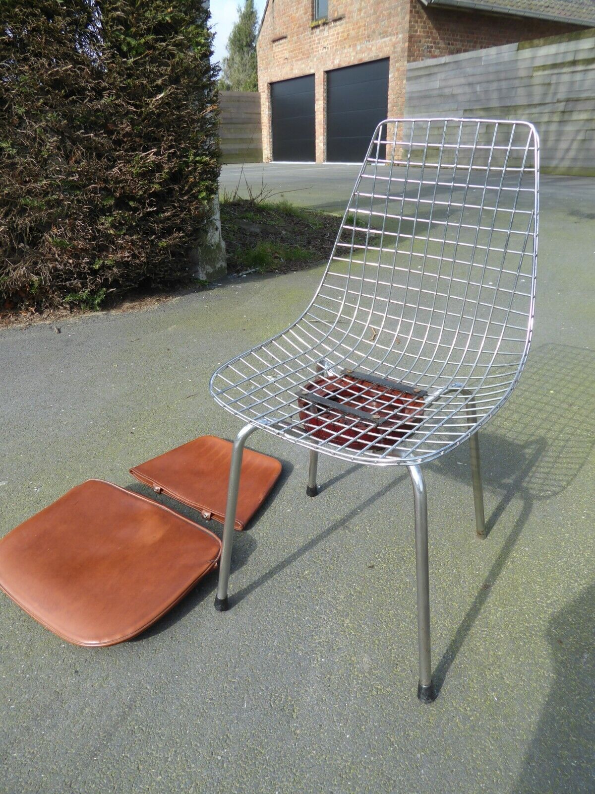 Picture 9 of 9