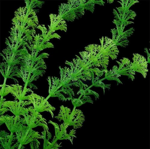 Aquarium Fish Tank Accessories Decor Green Grass Artificial T. Fake Plas Hot - Picture 8 of 10