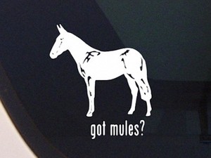 GOT-MULES-MULE-DRAFT-HORSE-WORK-ANIMAL-DECAL-STICKER