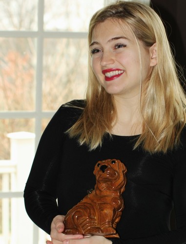 TIMMY WOODS SHAR PEI WRINKLED DOG SHOW SHOULDER BAG CLUTCH ENGLISH BULLDOG PURSE - Picture 3 of 12