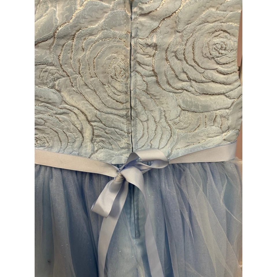 Редкие издания девочек синий тюль розовое платье размер 5 вечеринки свадьбы цветок девочка - Изображение 4 из 4