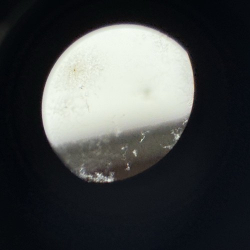 [Exc-] Contax Carl Zeiss Vario-Sonnar T * 35-70 mm F/3.4 MMJ Objektiv CY JAPAN - Bild 17 von 21