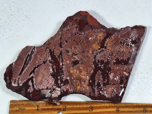 Unpolished End Piece SONORAN DENDRITIC JASPER RHYOLITE Lapidary Slab *Mexico - Picture 4 of 8
