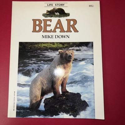 Bear, Grades 4-6 by Mike Down (1998, Trade Paperback)