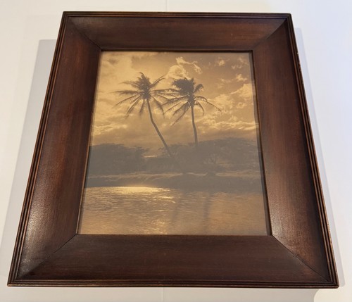 Vintage Tropical Palm Tree Sepia Photograph in 13x11 Solid Wood Frame, Wall Art - Picture 2 of 7