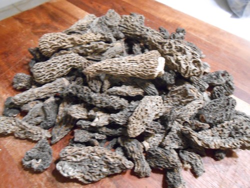 20g A Grade Dried Morel Mushrooms (BEST PRICE GUARANTEED) - 第 10/16 張圖片