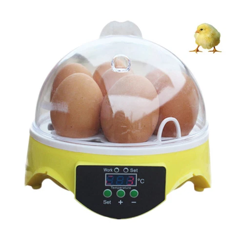 Egg Incubator Hatching Machine Breeder Portabel Chicken Eggs Hatcher for 7 Eggs - Picture 8 of 18