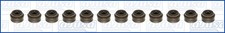 AJUSA Dichtungssatz Ventilschaft 57067100 für MERCEDES KLASSE W463 W210 SL R230 AJUSA Dichtungssatz Ventilschaft 57067100 für MERCEDES KLASSE W463 W210 SL R230
