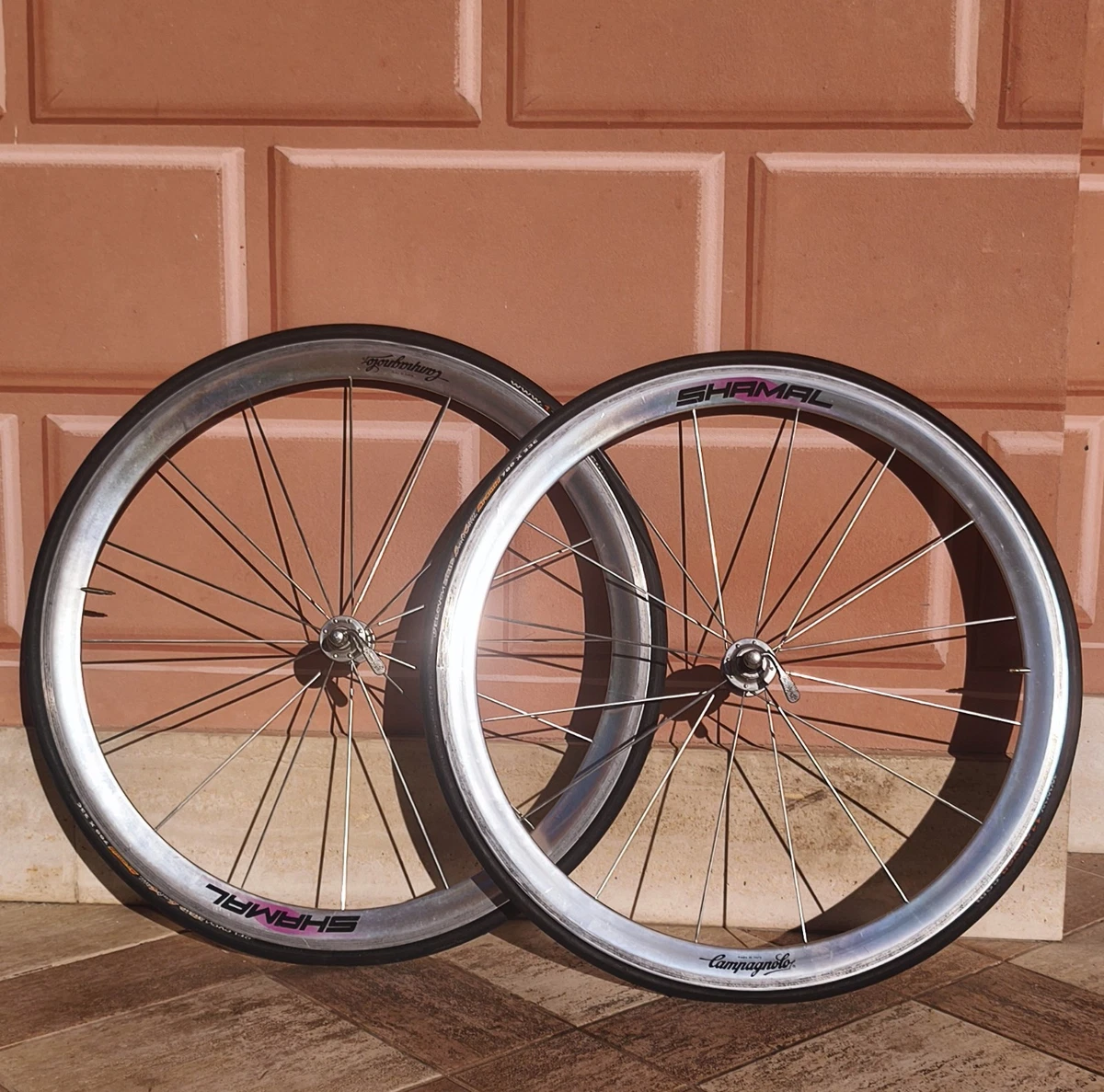 Roue Arrière Campagnolo Shamal – Alu, Piste De Frein Endommagée, Vélo Course, Occasion